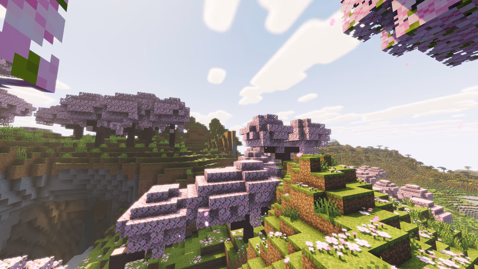 Pink cherry trees on a hillside under a bright sky